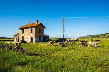 sardinian nuraghe natural landscape