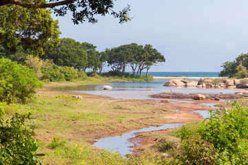 Yala National Park in Sri Lanka