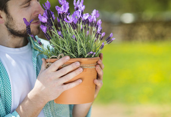 Gardener with lavender
