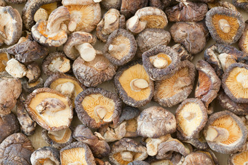 dried shiitake mushroom