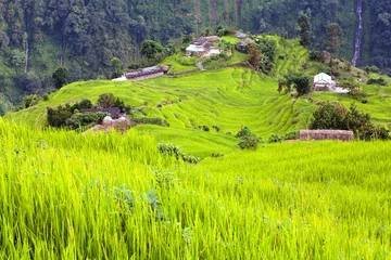 Crédence de cuisine en verre imprimé Annapurna rice field and village in Annapurna nountains - Nepal