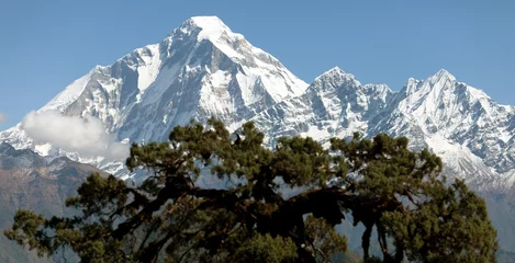 Photo sur Plexiglas Dhaulagiri Vue du mont Dhaulagiri - Népal