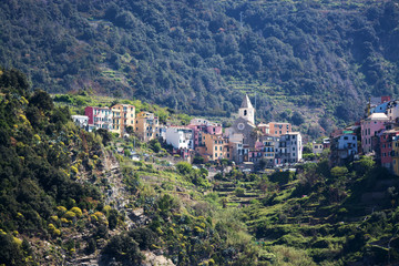 Fototapeta na wymiar Corniglia, Cinque Terre, Italien