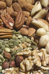 Healthy Raw Nuts and Seeds