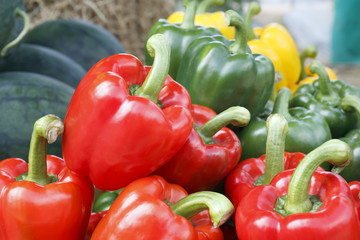 Bell pepper after harvest