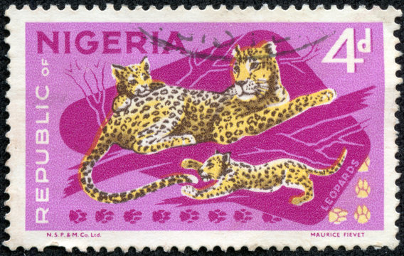 stamp printed in Nigeria, shows cheetah