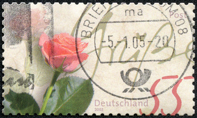 stamp printed in Germany shows rose as a gift