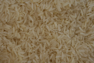 white rice