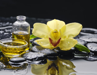 orchid with pebbles and massage oil ,fern on wet