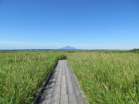 サロベツ原生花園 の画像 526 件の Stock 写真 ベクターおよびビデオ Adobe Stock