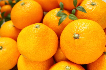 スイートスプリング