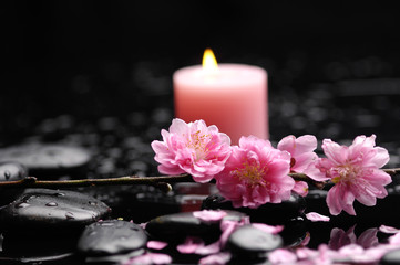 Fototapeta na wymiar cherry tree with candle and zen stones