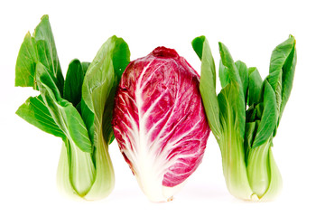 Red cabbages in isolated on white background - obrazy, fototapety, plakaty