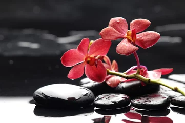 Fototapeten Zweig rote Orchideenblüte und schwarze Steine © Mee Ting