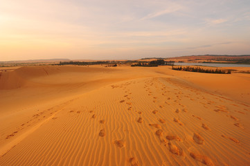 Deserts Landscape