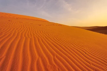 Wandaufkleber Deserts Landscape © karinkamon