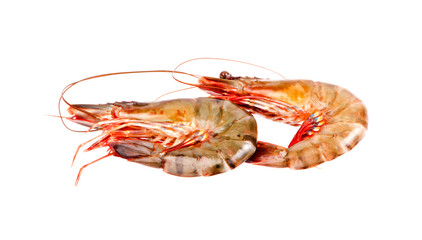 shrimps in isolated on white background