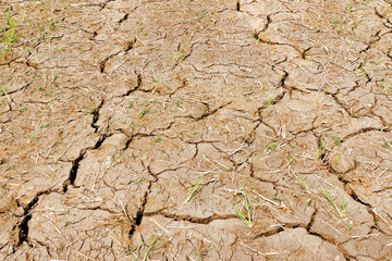 Mud cracks