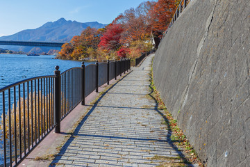 Walking Course at Lake Kawaguchi in Japan