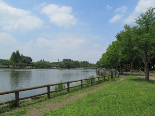 浮間公園の水辺