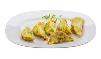 Japan dumplings - gyoza