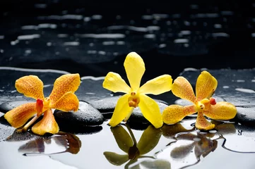 Foto op Canvas spa concept –three orchid with stones and wet background © Mee Ting