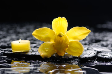 macro of yellow orchid and candle on black stones
