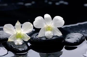 Behangcirkel two white orchid with therapy stones © Mee Ting