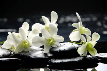 Keuken foto achterwand Tak witte orchidee met zen stenen © Mee Ting