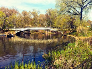 Obraz premium Bow Bridge, Central Park