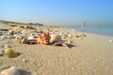 Fototapeta premium Dubai beach