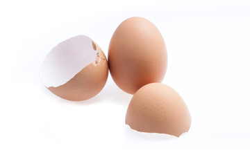 Egg and eggshell isolated on white background