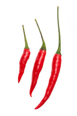 Red chili pepper isolated on a white background