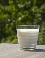 milk