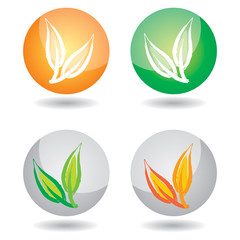 Abstract leaf icon set