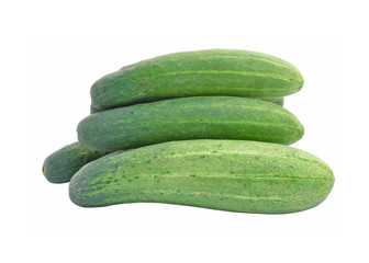 long cucumber isolated on white