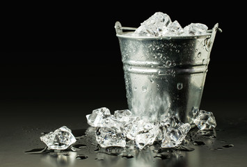 bucket with ice