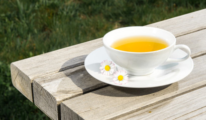 Tea camomile flower
