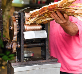 manual mechanism for squeezing juice from sugar cane