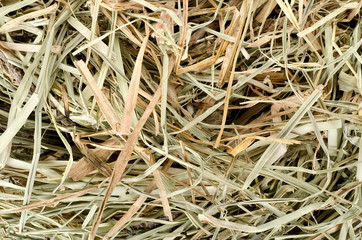 Background of  meadow hay