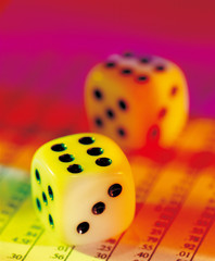 학용품 컨셉포토