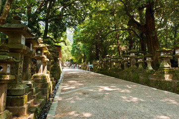 Lanterns in Nara