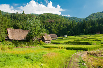 Ogimachi village