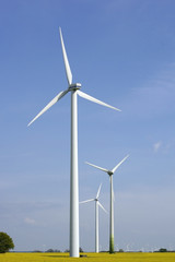 Windr&auml;der am Rapsfeld