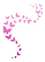 butterflies design