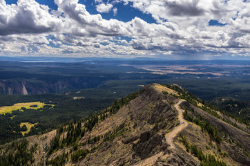 View South from Mount Washburn