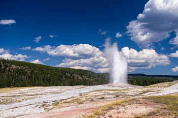 Old Faithful Geyser at Yellowstone National Park