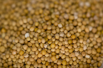 Mustard seeds