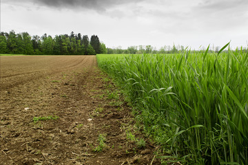 agro © sivivolk
