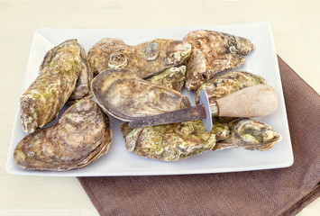 Platter of Oysters